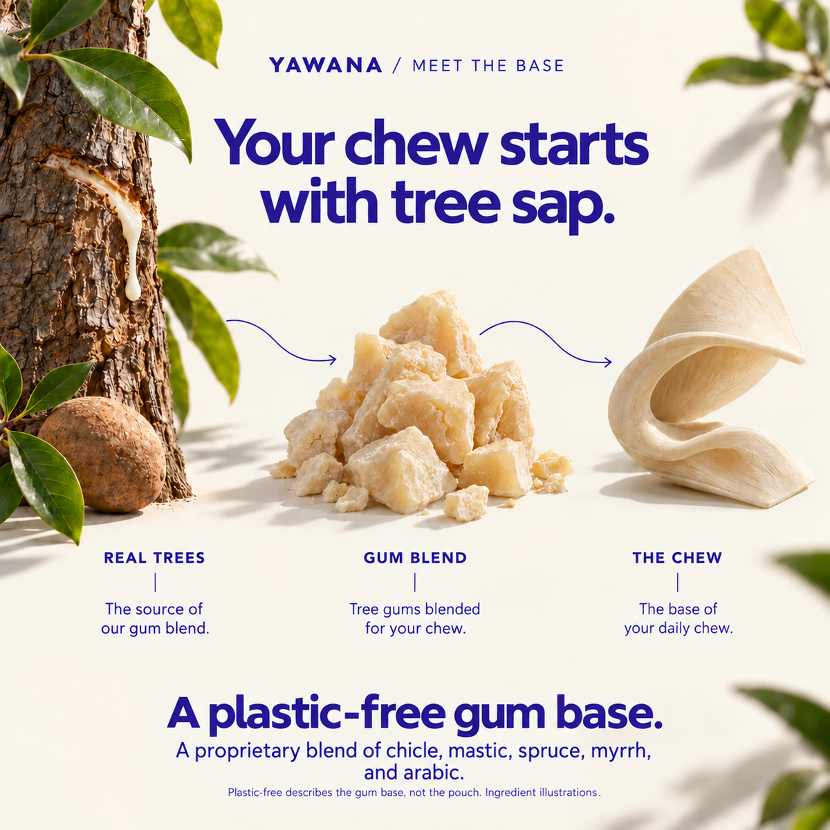 A proprietary blend of chicle, mastic, spruce, myrrh, and arabic. Illustrated path from trees to gum blend to chew. Plastic-free describes the gum base, not the pouch.